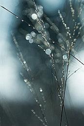 《无人机群》开发工作室公布新作《花园生活》